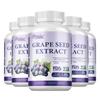 Pslalae Druivenpitextract Capsules, Rijk aan Polyfenolen, 400 mg Druivenpitextract Per Portie, Geschikt voor Volwassenen