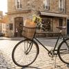 Metal Material Electric Bike Basket Durable Metal Pet Carrier Basket  Standard Bicycles