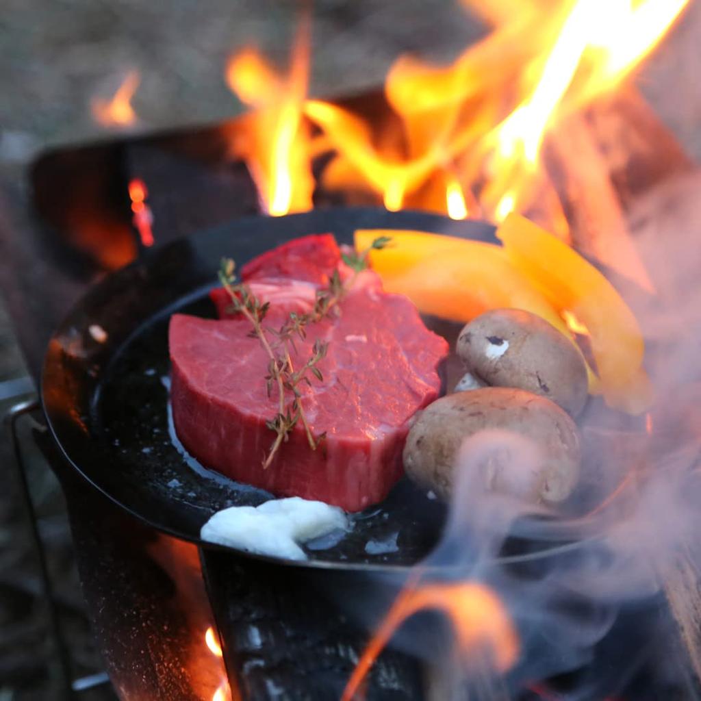 onegear pandish round iron perfect for rugged camping and solo black handmade by induction and campfire skillet (M) ultra-lightweight plate, camping,
