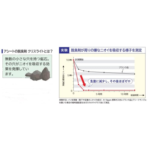 Foot Care Goods.COM Assheet O-Type Value Pack of 40 Pairs (Men's 28cm)