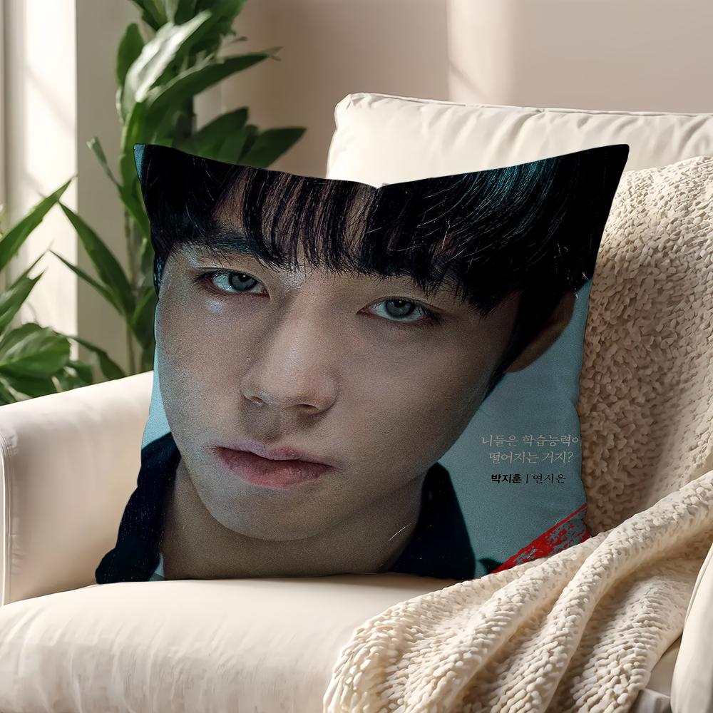 Movie W-Weak Hero Class 2 B cushion cover Pillow Sofa Printing Decoration Room Home Office Coffee Shop Car Nordic Simplicity