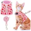 Cat Harness with Leash Escape Proof - Fashionable Mesh Cat Dog Walking Harness