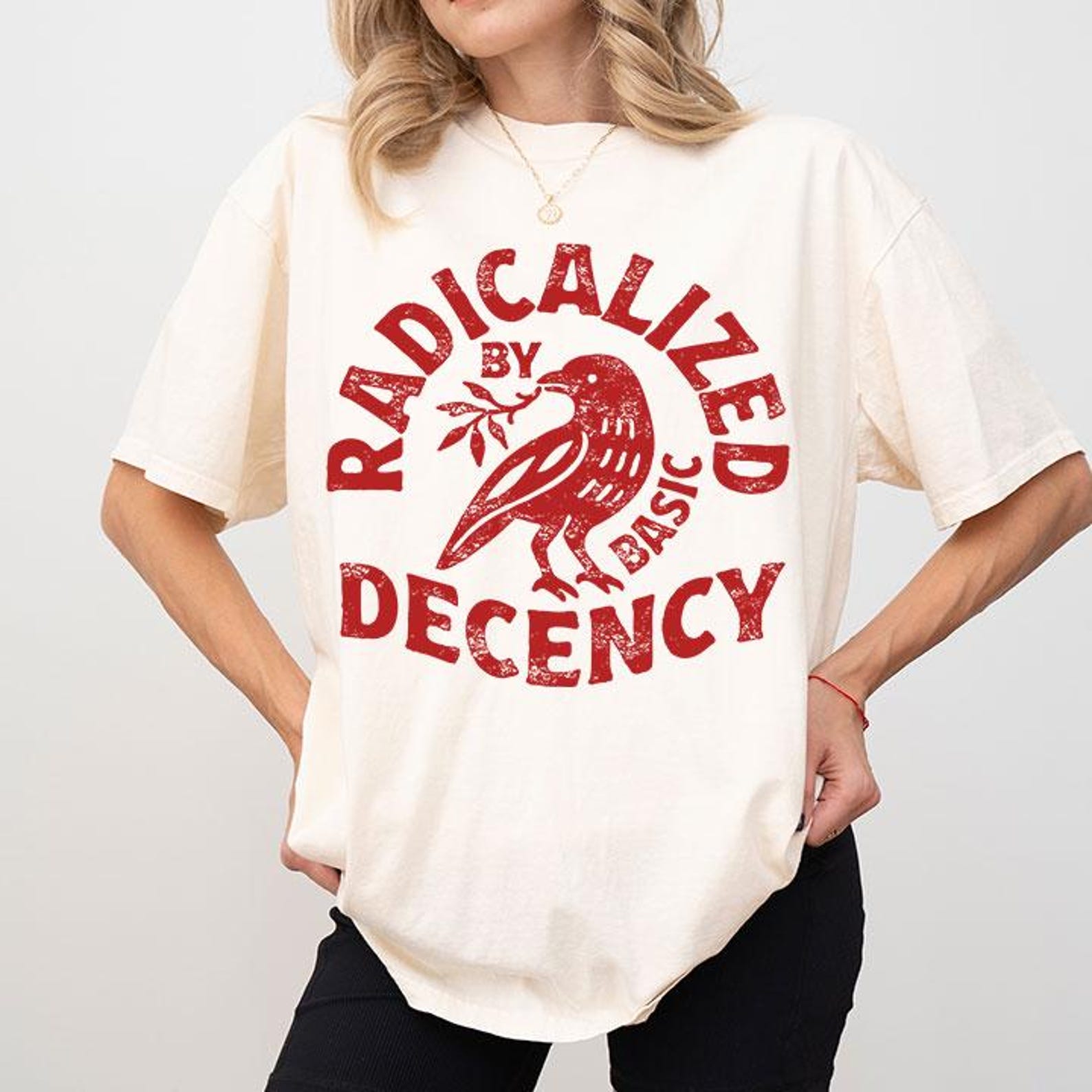 Radicalized By Basic Decency Tee Shirt 2XL