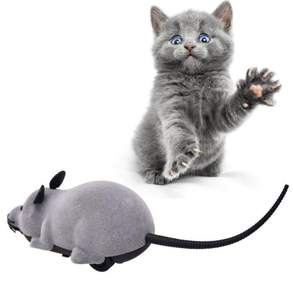 remote mouse cat toy