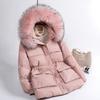 Raccoon Big Fur Collar Tooling Down Jacket Women's Winter Fashion Thickened Placket Sticker Warm Small Pie Overcome