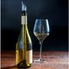 Stainless Steel Wine Bottle Cooler Chill Chilling Cooling Stick with An Aerator and Pourer Spout Freezer Cooler