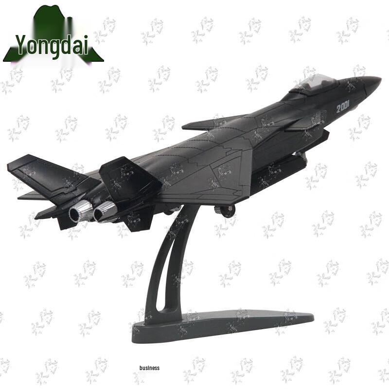Yongdai J-20 Fighter Jet Model 1:100 Scale
