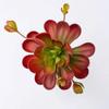 Fleshy Artificial Succulent Plant Lifelike Simulation Bonsai Plant Fake Cactus  Home Office Decor