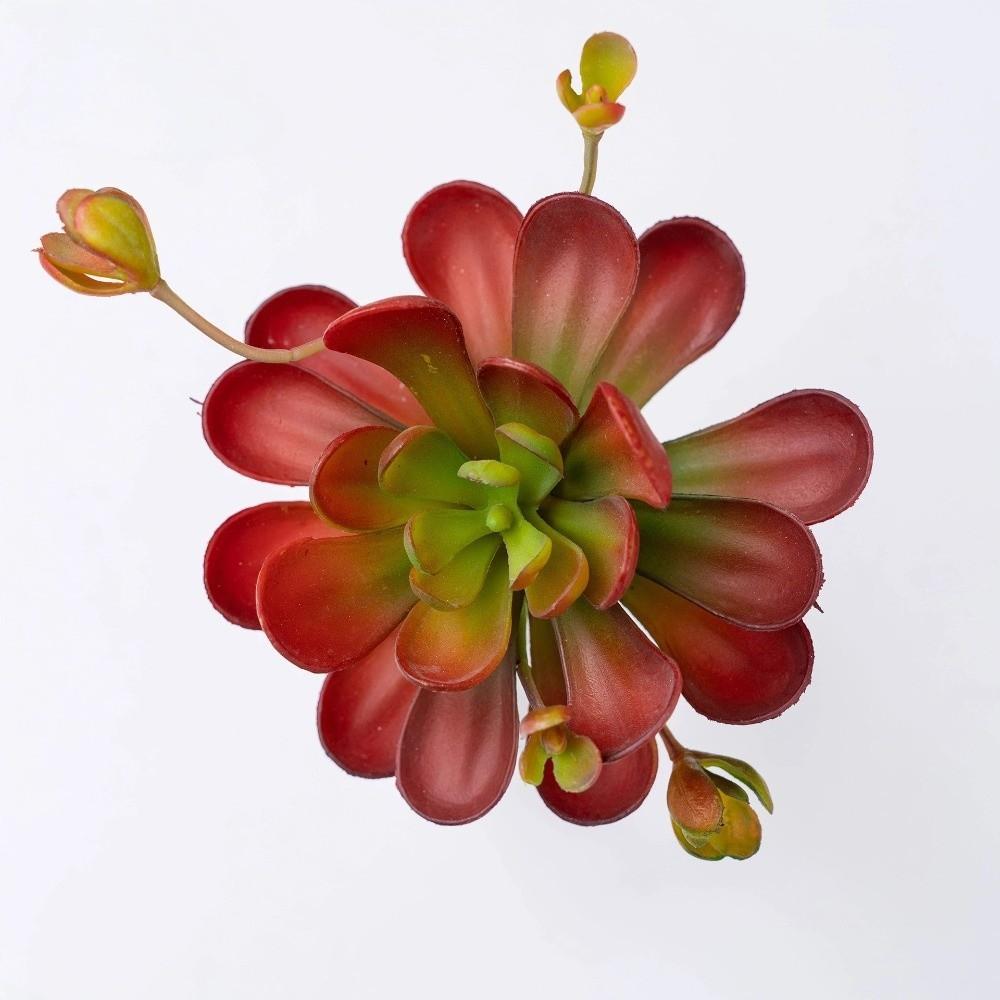 Fleshy Artificial Succulent Plant Lifelike Simulation Bonsai Plant Fake Cactus  Home Office Decor