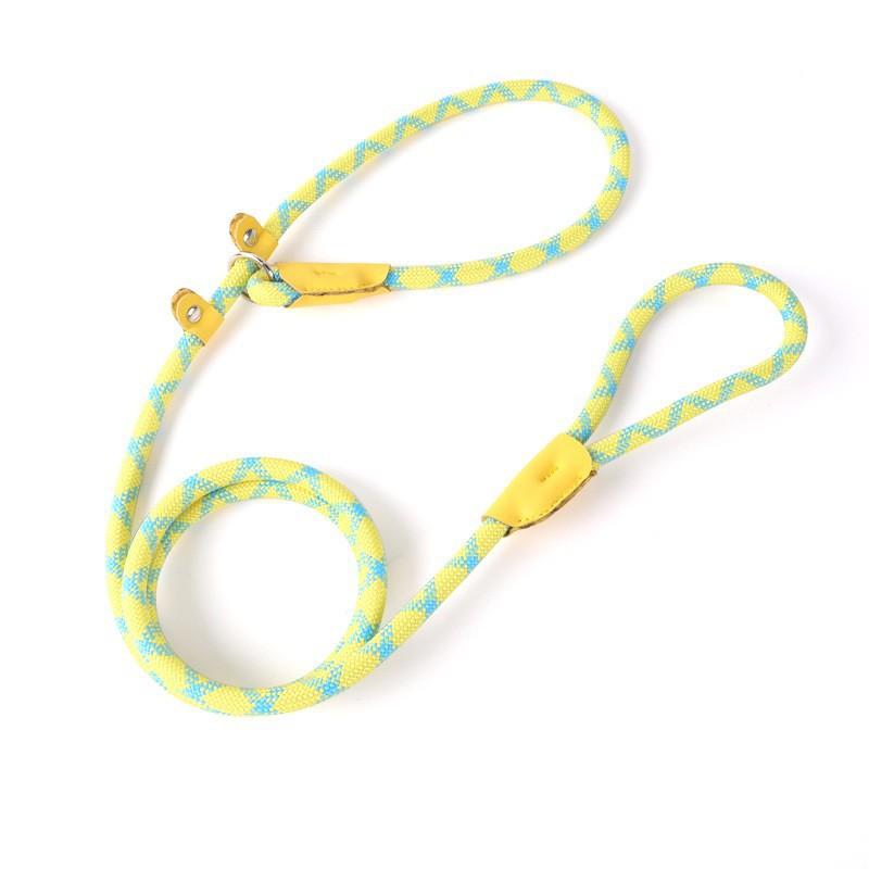 All-in-one Design Dog Leash Collar Set for Small Medium Dogs, Durable Braided Rope Slip Lead Pet Training Leash