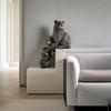 American-style Three Black Bear Tabletop Ornaments for Home, Living Room Decoration, Yard Resin Handicrafts for Decoration