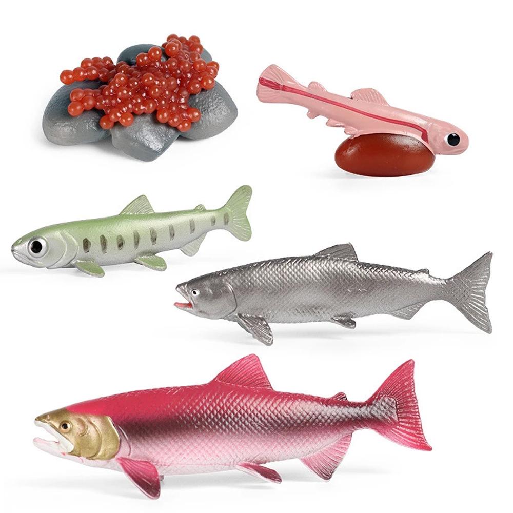 

King Crab Simulation Insect Earthworm Growth Cycle Model Salmon Octopus Realistic Life Cycle 1