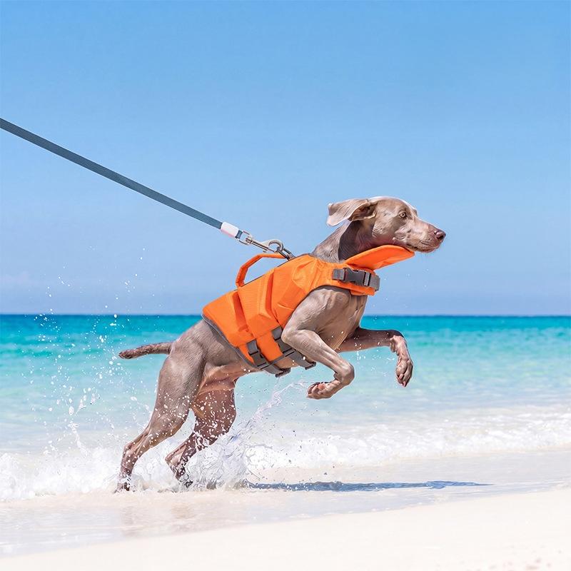 Hund Schwimmweste Schwimmen Starke Auftriebskraft Haustier Badeanzug Sommer Sicherheit Schwimmweste Für Dackel Chihuahua Teddy Außenpool Kleidung (Orange,XS) orange