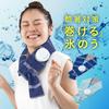 Alphax Neck Cooling Ice Mint Pack,