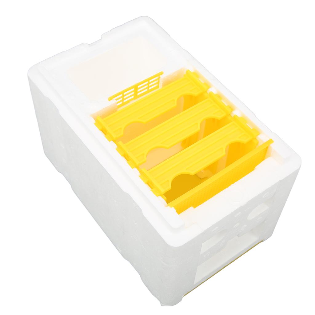 Foam Queen Box Bee Mating Foam Beehive Queen Cage Mini Queen Rearing Boxes for Beekeeping