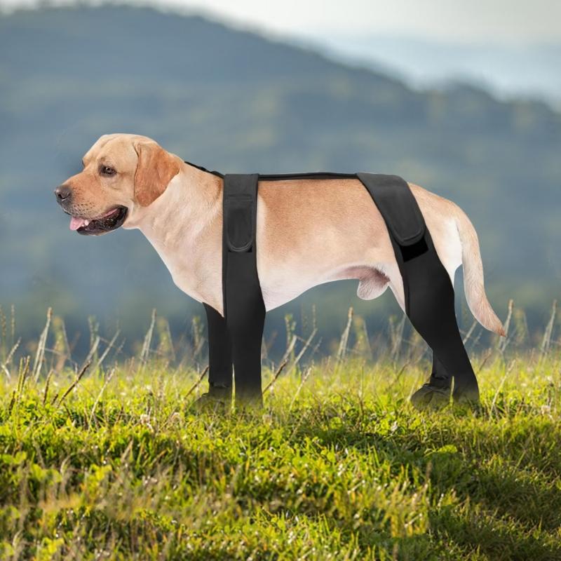 Haustier Hunde Leggings Geeignet für Große, Mittlere und Kleine Hunde Leggings Hosenträger Stiefeletten Winddicht und Wasserdicht Welpe
