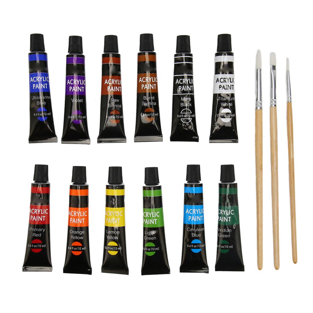 Acrylic Paint Set 12 Color Art Doodle Acrylic Craft Paint Set with 3 Brushes for Adults Kids