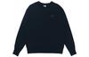 Sweatshirts Men's Black Crew Neck Moderate Regular DA0022-010