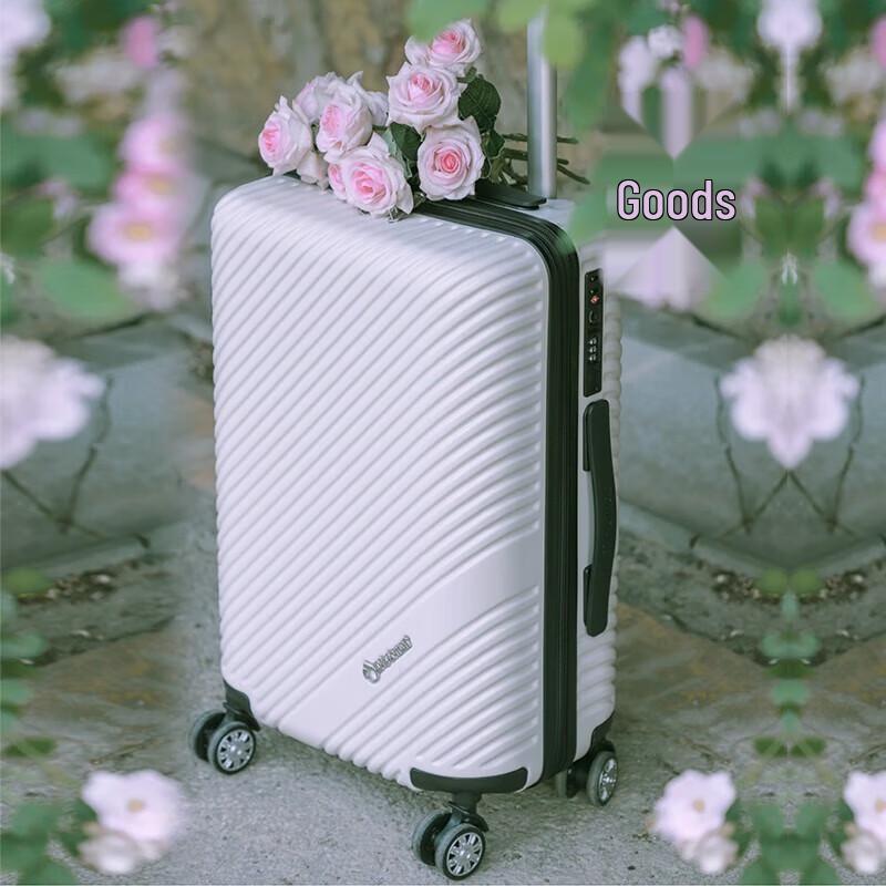 Diplomat Cloud Series 24-inch Hardside Spinner Luggage