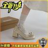 Shallow thick heel single shoes Mary Jane shoes women's 2025 spring new fairy style small man height increase French bow
