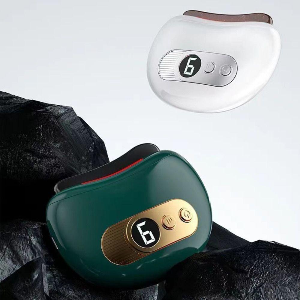 Constant Temperature Electric Scraping Plate Deep Conditioning Face Massager  Professional Use
