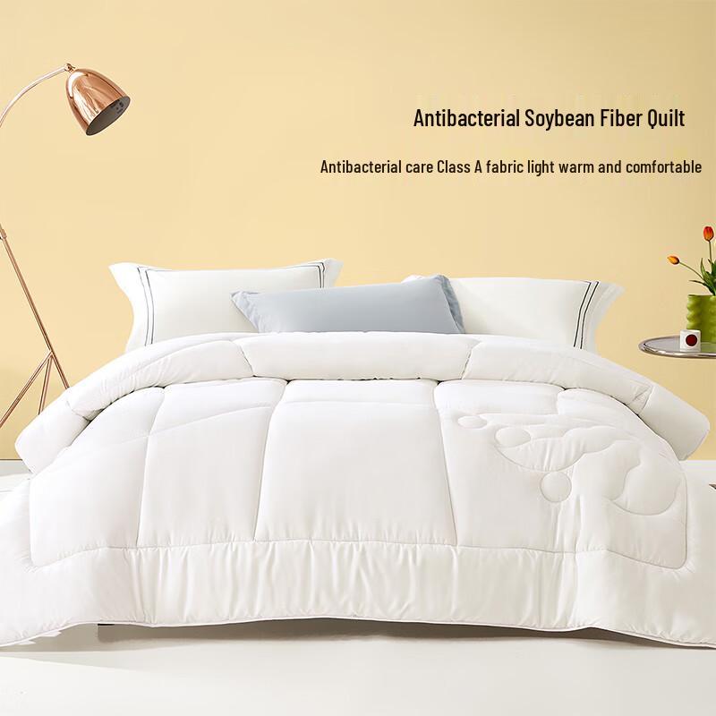 

BELLEIS Soybean Antibacterial All-Season Quilt