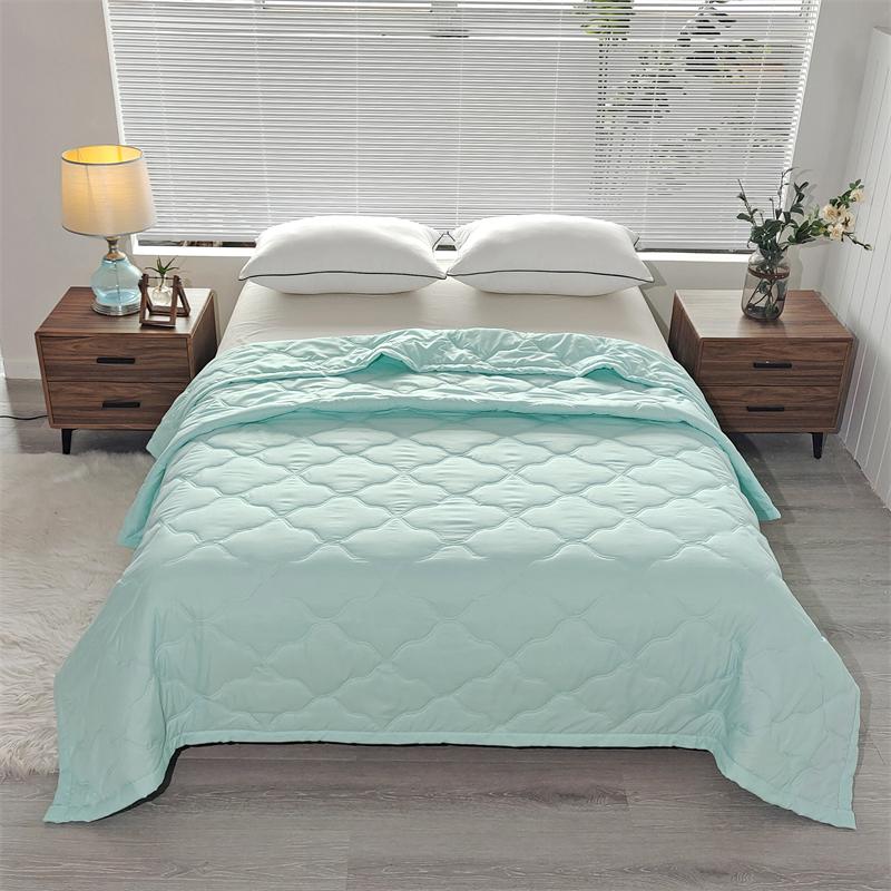 Quilted Summer Single Double Bed Light Printed Quilt Core Air Conditioning Quilting Twin Queen Size Duvet Thin Plaid Comforter