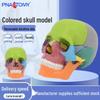Produse pentru școală – Echipament pentru instruire