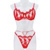 Kajano Sexy Embroidered Multi-color Mesh Lace Push-up Lingerie Set for Women