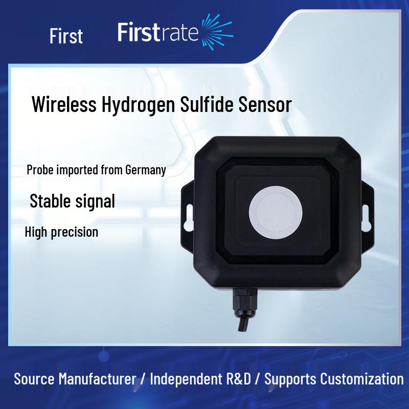 Wireless IoT Hydrogen Sulfide Gas Sensor with GPRS/LoRa/NB Transmission BRW100