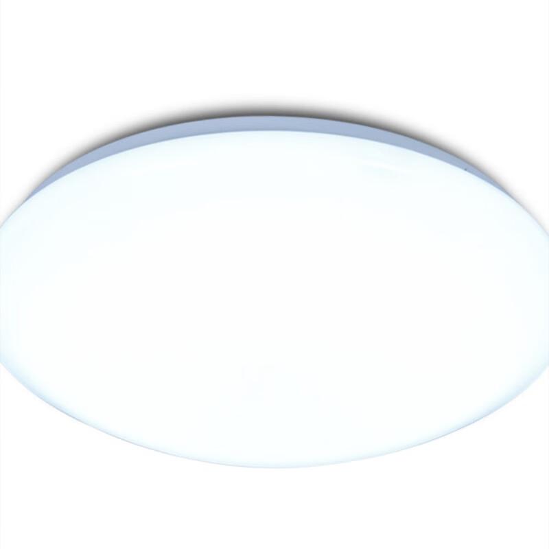 Chengcheng Modern Round LED Ceiling Light