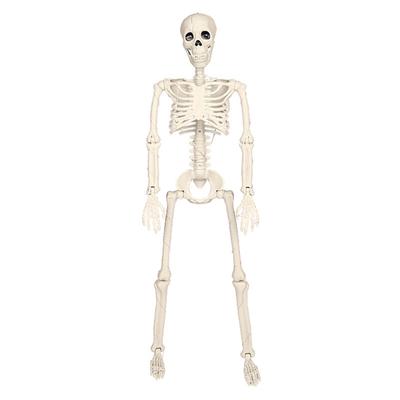 Accesorii de petrecere – Accesorii de Halloween