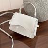 Chic Glossy Mini Flap Bag, Detachable Strap Crossbody Shoulder Purse, Fashion Versatile Everyday Casual Work Handbag Commute