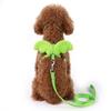 Cute Angel Wings Dog Cat Leashes Green 120CM Puppy Leash Collar Sturdy Lightweight Pet Harness For Pet Outdoor Walking