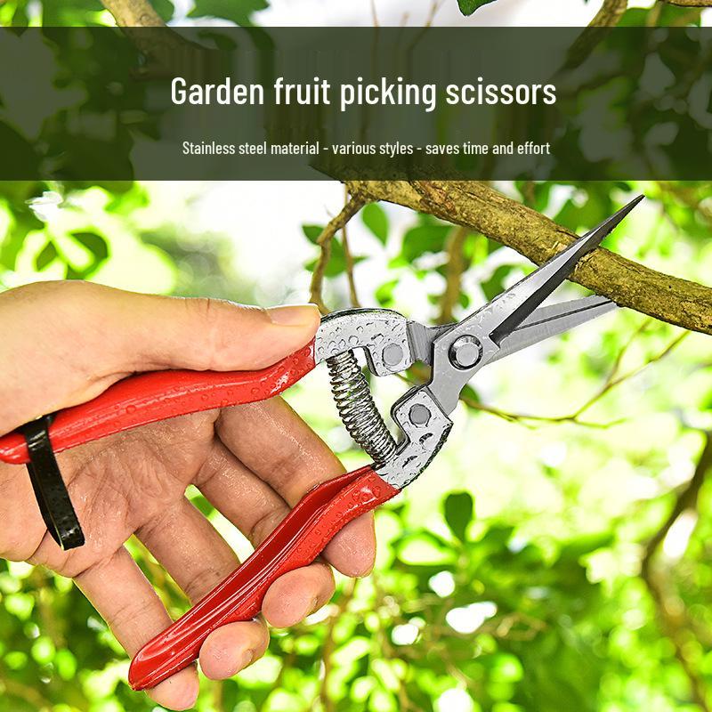 Stainless Steel Pruning Shears for Orchard and Garden