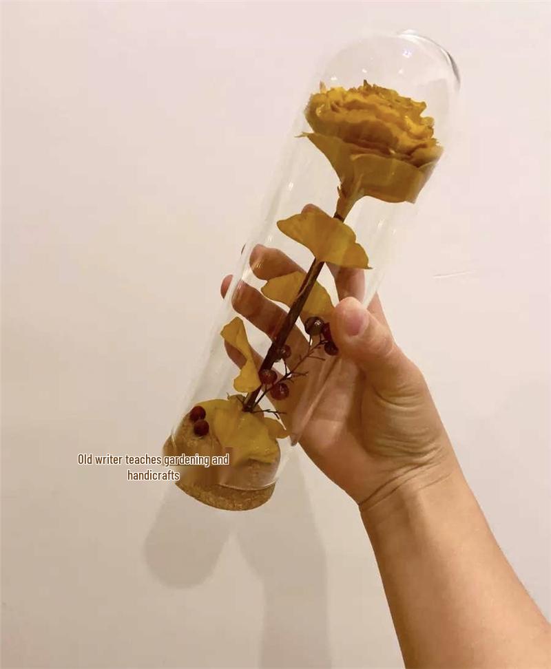 Ginkgo Leaf Plant Specimen - Pressed Flower Material for Handmade Projects & Desktop Decor