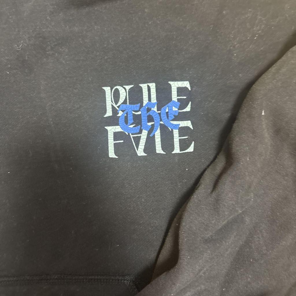 [USED] Rule the Fate Hoodie Fleece-Lined Sweatshirt