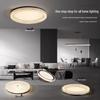 OEING Modern Minimalist LED Ceiling Lamp