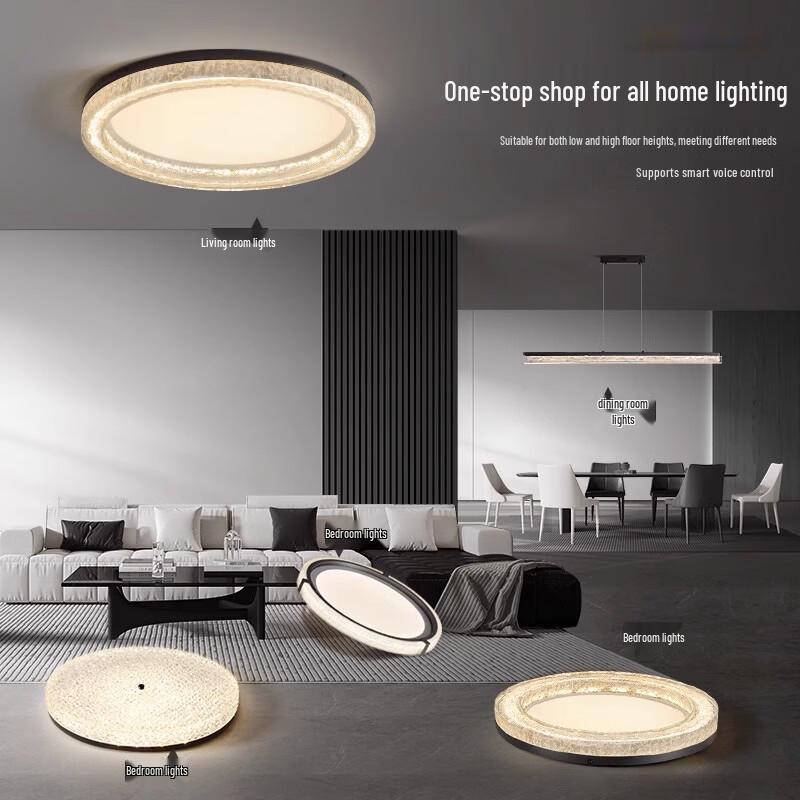 OEING Modern Minimalist LED Ceiling Lamp