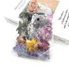 Assorted Dried Flower Craft Kit: Everlasting Flowers, Handmade Scented Candles, Photo Frames, Stickers, Air-Dried Hydrangea.