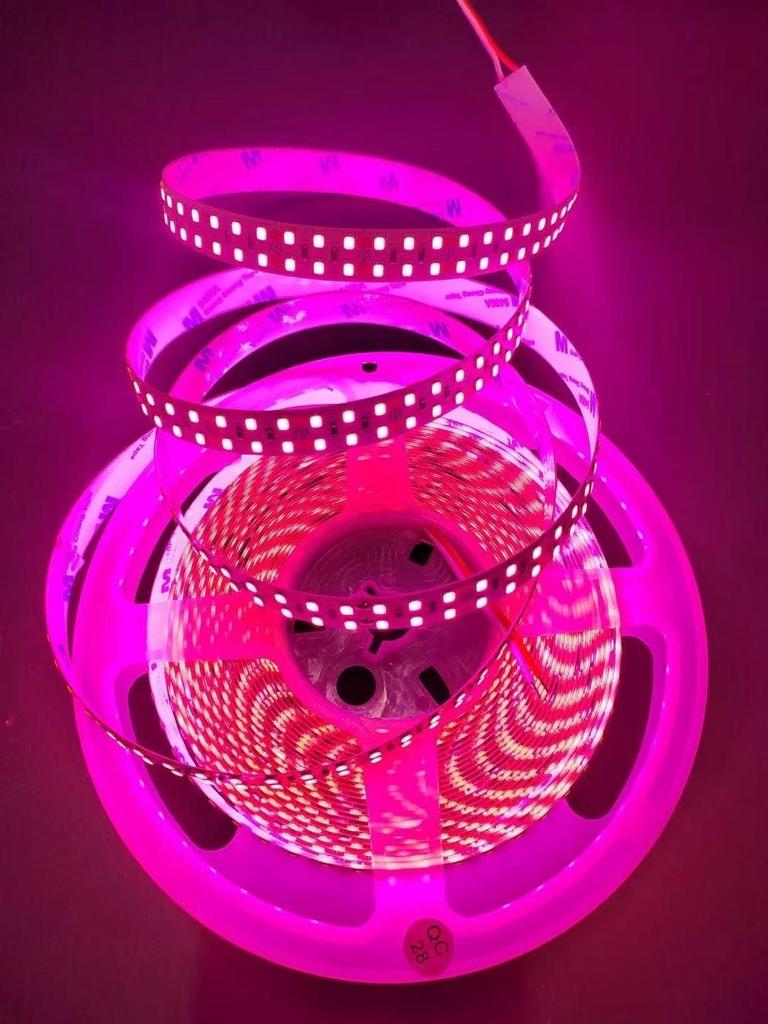 24V Double Row LED Strip Light, 240 LEDs, Self-Adhesive, 15mm Wide, High Brightness Linear Light.