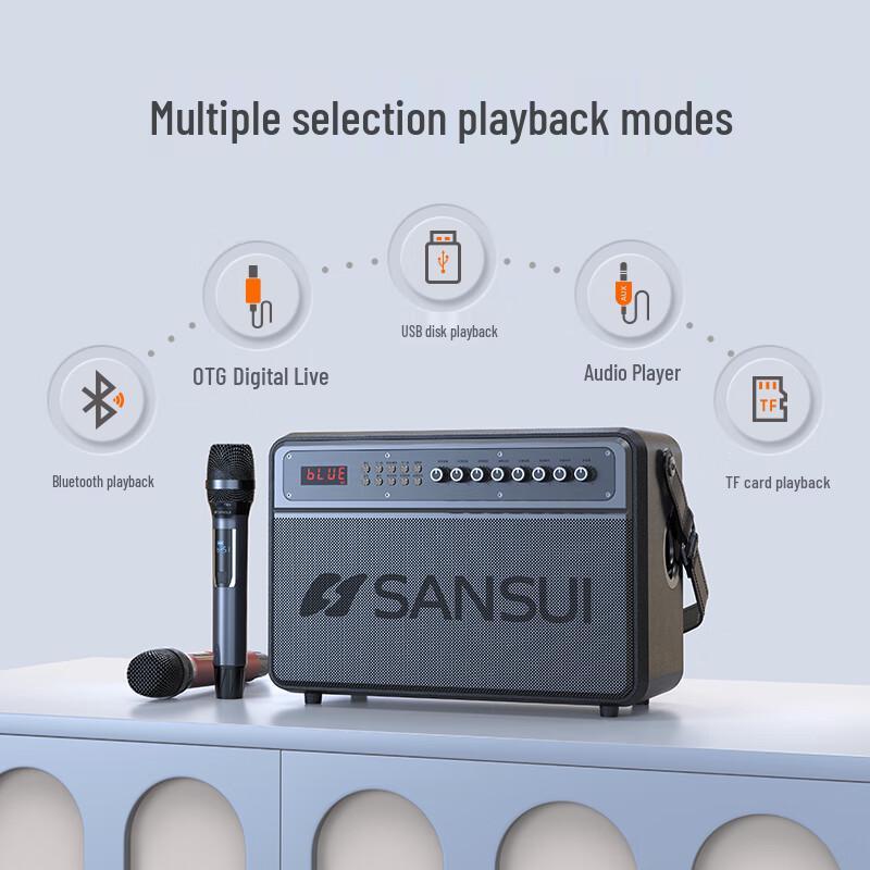 SANSUI Portable Karaoke KTV Speaker System