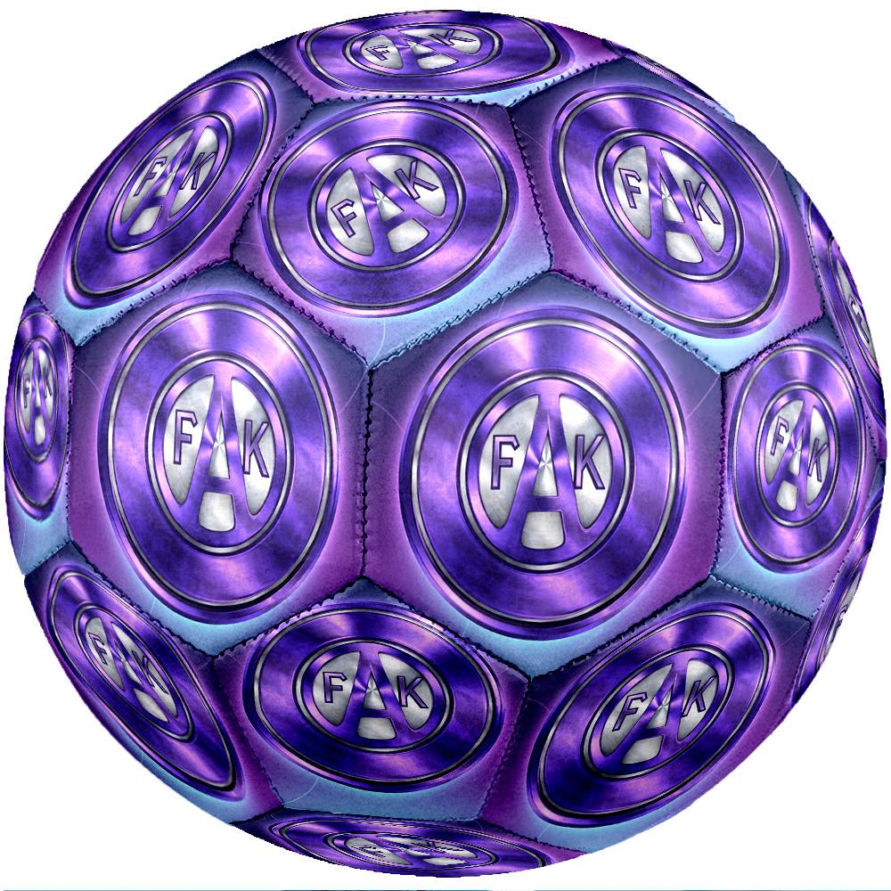 Austria Wien FC Size 5 Standard Football Durable Training Match Soccer Ball for Adult Outdoor Sports