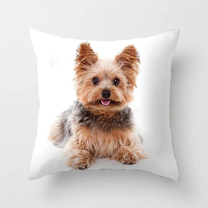 Bedroom Sofa Waist Cushion Cover Car Decorative   Cute Dog Yorkie  Yorkshire Decor Print Pillowcase