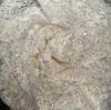 3D Three-Dimensional Sequined Petal Accessories Embroidery White Mesh Mesh Cloth Background Decoration Fashion Stage Clothing Fabric