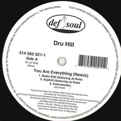 12inch Record DRU HILL - You Are Everything 3145620211 DEF SOUL 1999 Unknown Rap & Hip-Hop/R&B Used