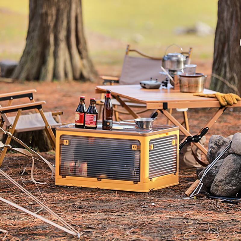 Transparent Folding Storage Box