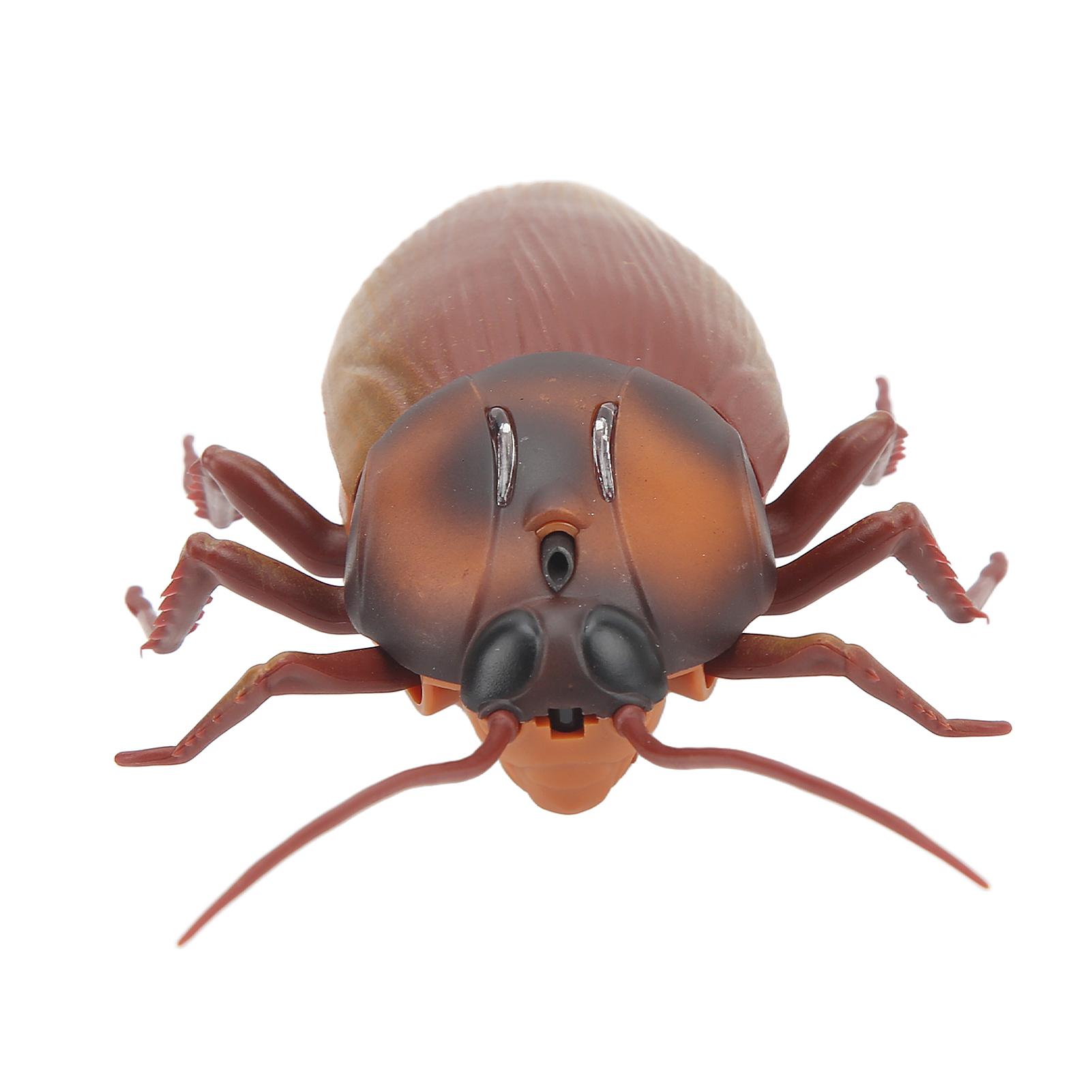 

Электрическая игрушка-таракан, инфракрасная индукция, яркие детали, питание от батареи, пульт дистанционного управления, игрушка-насекомое