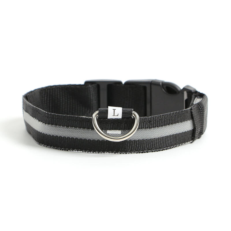 LED Dog Leash (L/Rainbow)