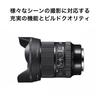 Sigma 24mm DG DN Single Wide for Mirrorless Art F1.4 Lens, L-Mount, Focus, Angle, Full-Frame Cameras,